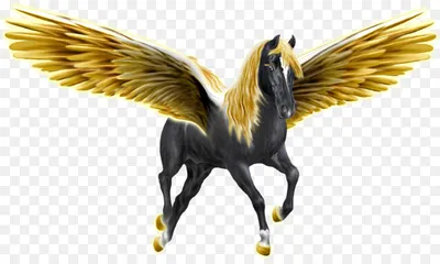 Pegasus, unicorn, wings, horse, creature, Fantasy, HD phone wallpaper |  Peakpx