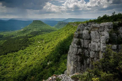 Природа Северного Крыма