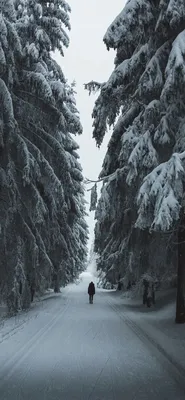 Дыхание зимы. Фотограф Оборотов Алексей