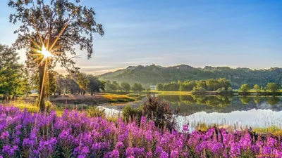 Летние пейзажи природы - красивые фото