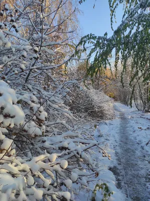 Самые красивые пейзажи у природы — Наталья Андреева на 