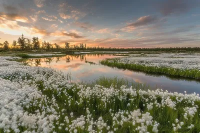 Обои красивые, пейзажи -, природы, раздел Природа, размер 2560x1600 Wide -  скачать бесплатно картинку на рабочий стол и телефон