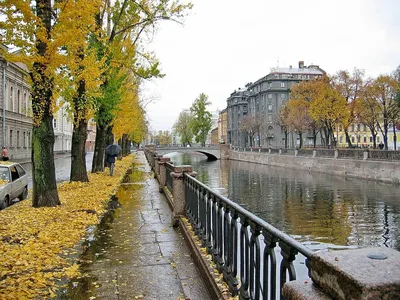 Городской пейзаж "Санкт-Петербург. Вид на Кунтскамеру с Невы" 60x90  JR160607 купить в Москве