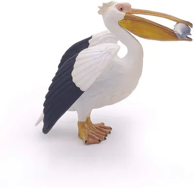 Кудрявый пеликан, занесенный в Красную книгу Ростовской области