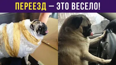 Жизненно на 10 из 10 😅 Смешные и правдивые комиксы о декрете | Мама с  мозгами | Дзен