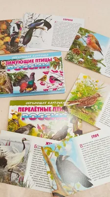 Карточки "Перелетные и зимующие птицы России"