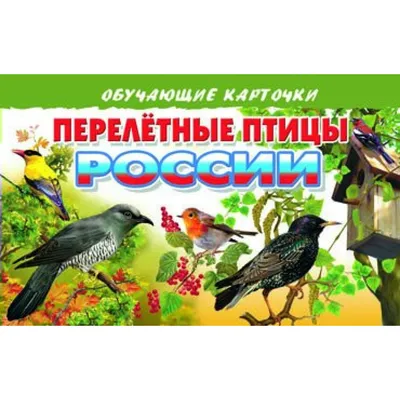Перелетные птицы России. Обучающие карточки на картоне с познавательным  текстом купить по цене 160 ₽ в интернет-магазине KazanExpress