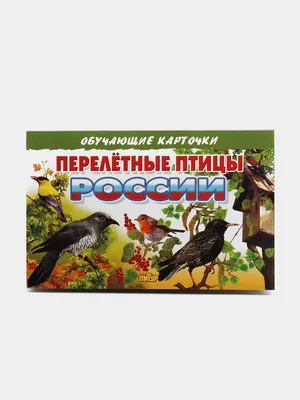 ПЕРЕЛЕТНЫЕ ПТИЦЫ. 🐦Детям про птиц. Учим птиц для детей. Какие перелётные  птицы прилетают весной? - YouTube