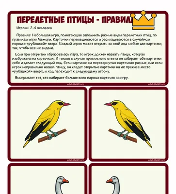 Перелетные птицы спутали март с апрелем и уже вернулись в Москву
