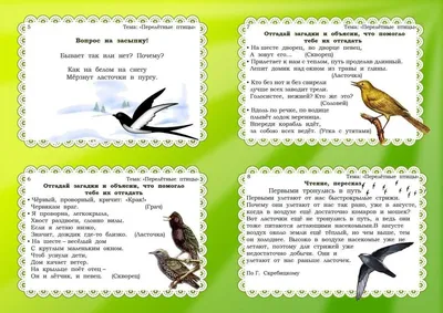 Презентация "Перелетные и зимующие птицы" (2 класс) по окружающему миру –  скачать проект