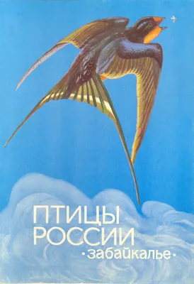 Птицы в деревне. Где найти и как узнать (Анна Евсеева) - купить книгу с  доставкой в интернет-магазине «Читай-город». ISBN: 978-5-00-214093-0