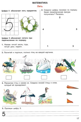 Лэпбук познавательной направленности «Зимующие и перелётные птицы» для детей  4–5 лет (6 фото). Воспитателям детских садов, школьным учителям и педагогам  - Маам.ру