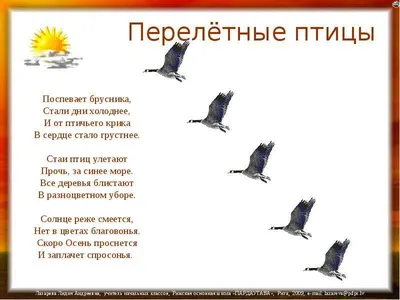 Обучающие карточки «Перелётные птицы России», 16 карточек (2410409) -  Купить по цене от  руб. | Интернет магазин 