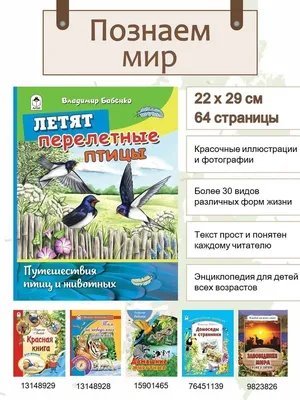 Раскраски «Перелетные птицы» для детей с названиями распечатать