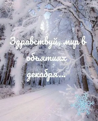 Желаем счастливой зимы 2023-2024 — поздравляем с началом зимы — забавные  открытки и искренние пожелания на украинском