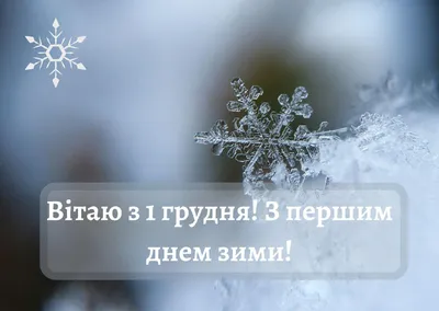 Открытки с первым днем зимы, поздравления в стихах, прозе, приколы — Разное