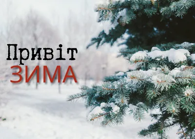 Блог вчителя початкових класів Козача Наталії Ігорівни: Перший день зими!