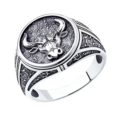 Винтажный мужской перстень печатка – Silver Monarh