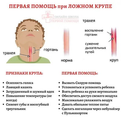 Плакат первая медицинская помощь для детей (38 фото) » Уникальные и  креативные картинки для различных целей - 