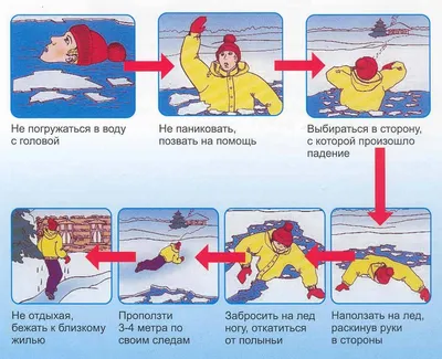 Первая помощь при утоплении » Администрация МО "Судогодский район"