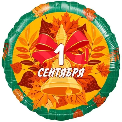 Фольгированный шар Первое сентября купить в Москве с доставкой: цена, фото,  описание | Артикул:1202-3589