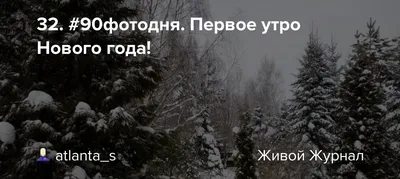 Рецензия на Первое утро Нового Года Зеленый Ил (Алёна Тихомирова) / Проза.ру