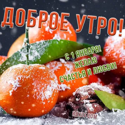 Первое утро нового года картинки