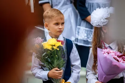 Пропись для будущих первоклашек. Рисуем по клеточкам - 092997-9 купить в  интернет-магазине Наша детка в Москве и России, отзывы, фото