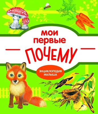 Первые плакаты для малыша От 0 до 3 лет - МНОГОКНИГ.lt - Книжный  интернет-магазин