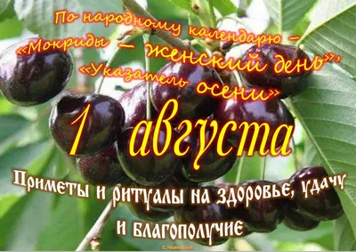 В первый день августа в большинстве областей Украины ожидается дождливая  погода – Рубрика