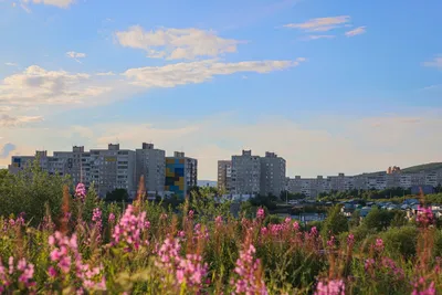 Черная пятница! ТОЛЬКО 1 ДЕНЬ! 19 августа в «ОПТИКА СЭСЭГ» в ТРЦ«People's  Park»!