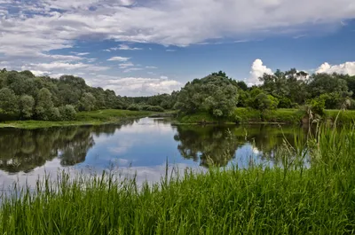 Красивые картинки с первым днём Лета 1 Июня (40 фото) скачать