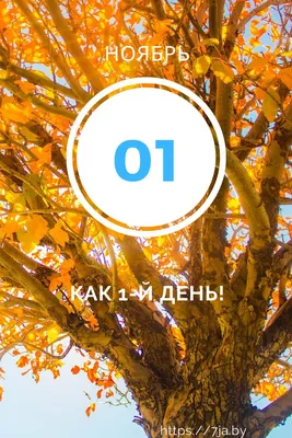 1 день | Letters, Symbols, Digit