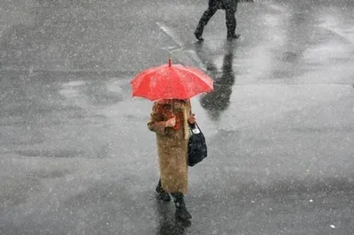 Первый день ноября встретил жителей Волгограда мокрым снегом и дождем
