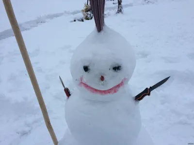 Шел первый день нового года... | Пикабу