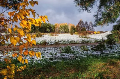 Картина Картина маслом "Летит, кружится первый снег" 60x90 SK201003 купить  в Москве