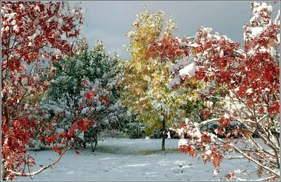 Первый снег в октябре. Красивые краски осени 🍁🍃🍂 | Интересное рядом.  Заметки из путешествий. 🌐 | Дзен