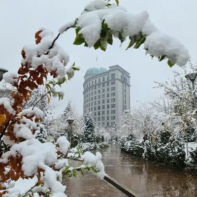 Первый снег: тюменцы фотографируют снежный город и лепят снеговиков