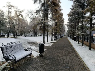 ФОТО: первый снег выпал ночью в Нижегородской области