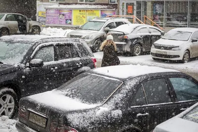 Во Владимирской области скоро выпадет первый снег и наступят холода