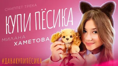 Лучшие песики Минска-4 - 