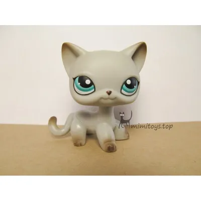 Littlest pet shop лпс lps кошка #5 (ОРИГИНАЛ) – купить в Москве, цена 800  руб., продано  – Игрушки и игры