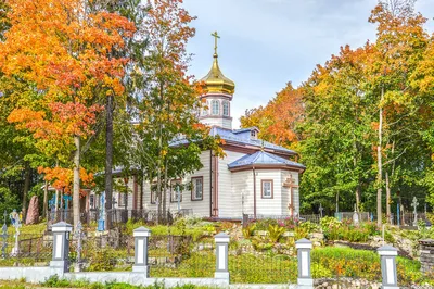 Петрозаводск - фото, достопримечательности, погода, что посмотреть в  Петрозаводске на карте