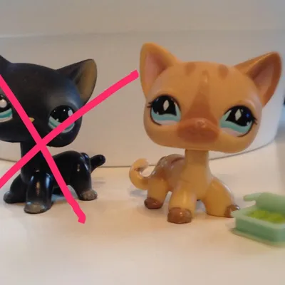 Littlest Pet Shop (LPS), котики-стоячки. – купить в Краснодаре, цена 1 000  руб., продано  – Игрушки и игры