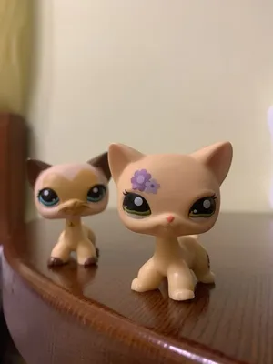 Стоячки петшоп (lps, Littlest Pet Shop): 600 грн. - Коллекционирование Киев  на Olx