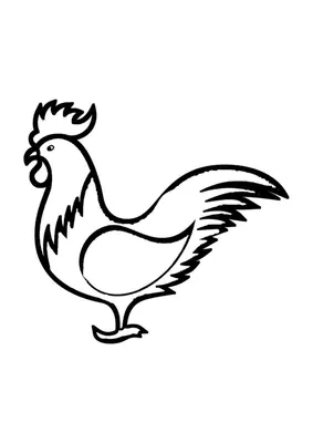 Раскраска Простая разукрашка петушка распечатать - Петухи и курицы