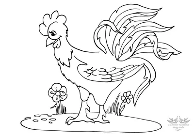 Как нарисовать ПЕТУХА И КУРИЦУ. Рисуем с детьми. How to draw A ROOSTER AND  A CHICKEN. - YouTube