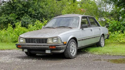 The Peugeot 505 Built for French Colonies (and American Enthusiasts) - eBay  Motors Blog