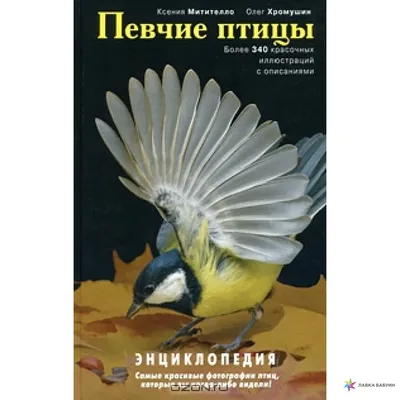 Певчие и декоративные птицы в Минске. Купить певчих птиц в Минске по низкой  цене