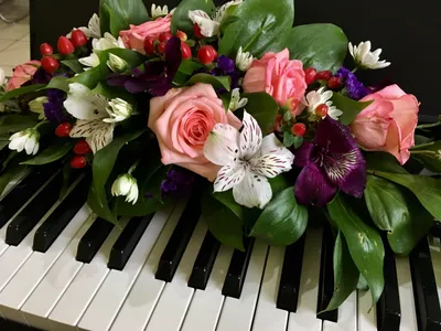 Скачать обои ноты, клавиши, розы, пианино, красные, раздел цветы в  разрешении 1024x1024 | Розы, Пианино, Цветы